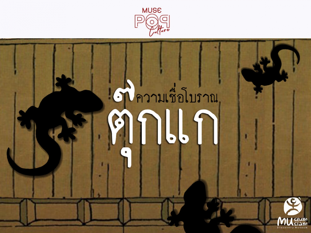 บ้านใครมีตุ๊กแกอย่าเลื่อนผ่าน ความเชื่อโบราณเกี่ยวกับตุ๊กแก