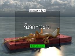 หางจิ้งจกขาดได้ มันไม่ตาย ไม่พิการ บางสิ่งในชีวิตคนเราก็เช่นกัน