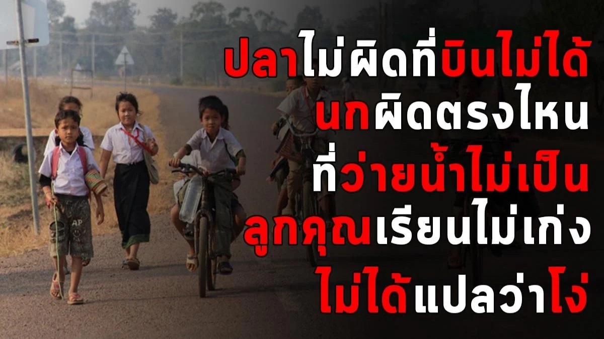 เรียนไม่เก่ง ไม่ได้แปลว่าโง่