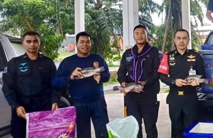 นพค.44 สนภ.4 นทพ. แจกจ่ายปลานิลจิตรลดาแก่กำลังพลและเครือข่ายชุมชน ร่วมสร้างความสัมพันธ์และแนวรั้วความปลอดภัยในพื้นที่ อ.ทุ่งยางแดง